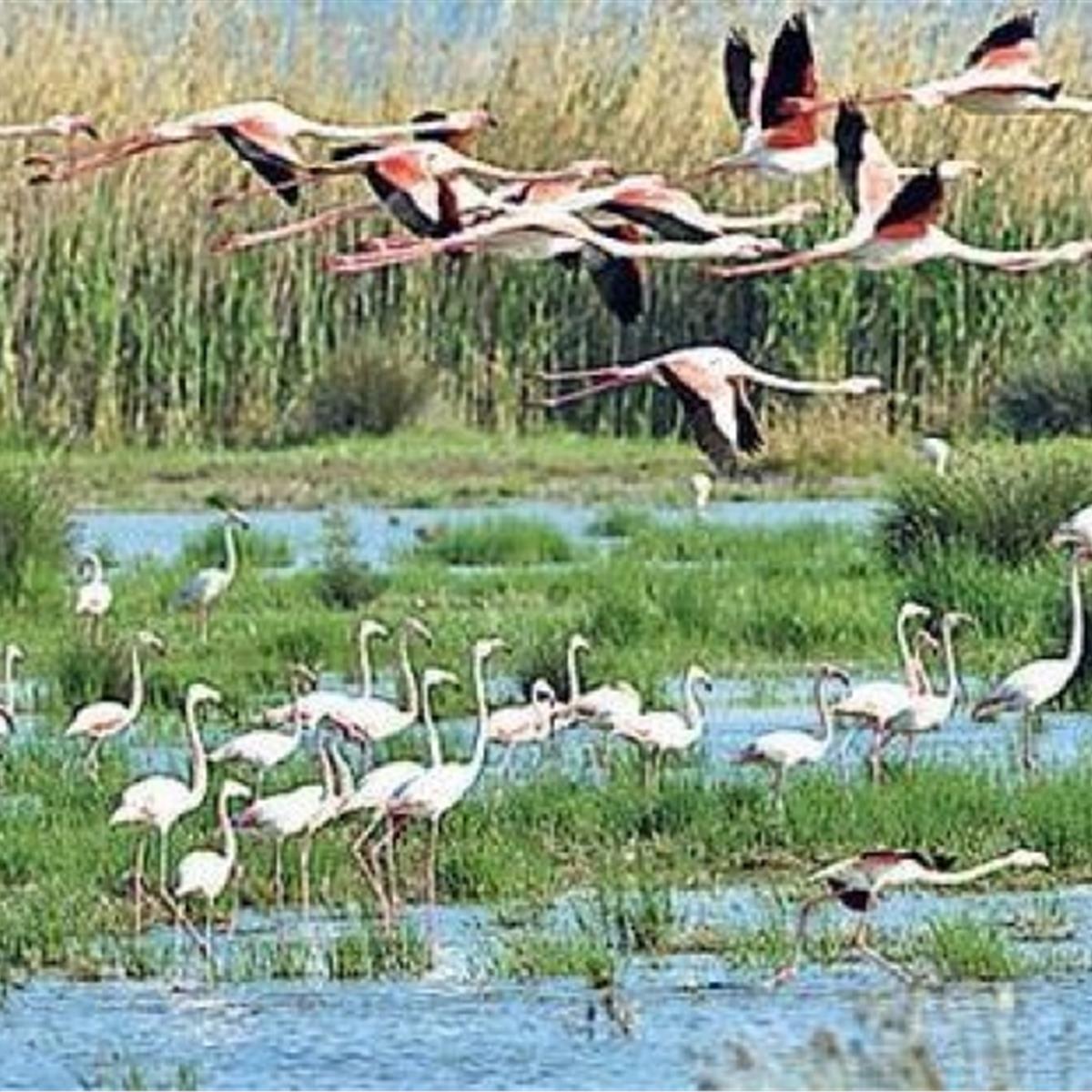 İzmir'den Hareketli Ramazan Bayramı Özel 2 Gece 3 Gün Konaklamalı Erdek Avşa Turu