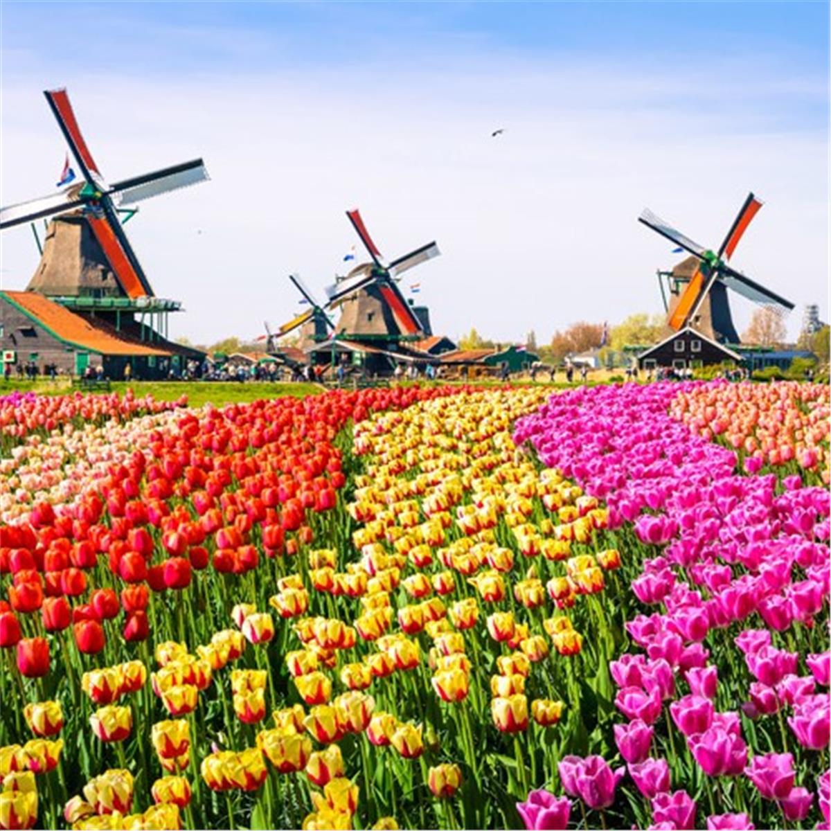 İzmir Uçak İle Hareketli 7 Gece 8 Gün Konaklamalı Benelüx Paris Turu