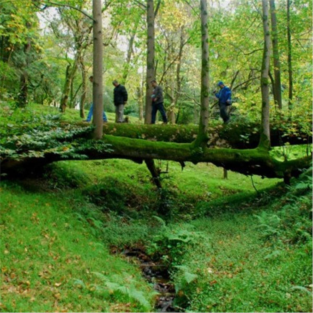 İzmir Uçak İle Hareketli 3 Gece 4 Gün JRW Welmond Hotel & Casino Konaklamalı Yılbaşı Özel Gürcistan & Batum Turu