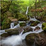 İzmir'den Otobüslü 1 Gece 2 Gün Konaklamalı Düzce Şelaleleri & Efteni Gölü & Akçakoca & Maşukiye Turu