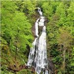 İzmir'den Otobüslü 1 Gece 2 Gün Konaklamalı Düzce Şelaleleri & Efteni Gölü & Akçakoca & Maşukiye Turu