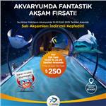 İzmir’in İlk Ve Tek Akvaryumu Westpark Funtastic Aquariums Gece Işıklandırmalı G