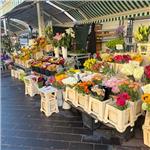 İzmir'den Uçaklı 5 Gece 6 Gün Konaklamalı Avrupa Masalı Express Turu