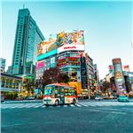 İzmir'den Uçaklı 8 Gece 9 Gün Konaklamalı Tüm Ekstralar Dahil Osaka & Kyoto & Tokyo İle Royal Japonya Turu