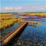 İzmir'den Kalkışlı 2 Gece 3 Gün Konaklamalı Şile, Ağva, Abant, Yedigöller, Gölcük, Maşukiye, Ormanya ve Safranbolu ile Batı Karadeniz Turu