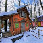 İzmir'den Otobüslü 1 gece 2 gün Konaklamalı Şile, Ağva İle Abant, Gölcük, Gölyazı Turu