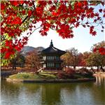 Uçaklı 7 Gece 9 Gün Konaklamalı Japonya Ve Güney Kore Turu