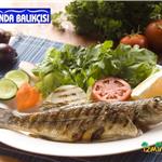 Bornova Ayvalık Cunda Balıkçısı Enfes Lezzetler ve İçecek Eşliğinde Balık Menü