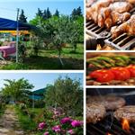 Foça Mangal Keyfi