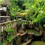 İzmir Kalkışlı 25 Eylül Cumartesi Günübirlik Tire İncir, Ceviz Festivali Turu