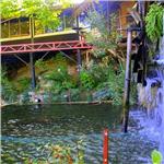 İzmir Kalkışlı 25 Eylül Cumartesi Günübirlik Tire İncir, Ceviz Festivali Turu