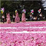 İzmir'den Otobüslü 2 Gece 3 Gün Konaklamalı Kazanlık Gül Festivali Turu. Üstelik Sofya Şehir Turu Dahil.
