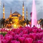 İzmir'den Kalkışlı 2 Gece 3 Gün Konaklamalı Lale ve Erguvan Zamanı İstanbul Turu