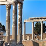 İzmir'den Otobüslü Günübirlik Bergama Papatya Festivali