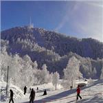 İzmir çıkışlı 2 gece 3 gün Konaklamalı Amasra ve Safranbolu Dahil Batı Karadeniz Kış Rüyası Turu