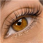 Bornova Harika Kuaför Güzellik Kirpik Lifting Uygulaması