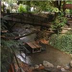 İzmir'den Otobüslü 1 Gece 2 Gün Konaklamalı Düzce Şelaleleri & Efteni Gölü & Akçakoca & Maşukiye Turu