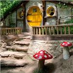 İzmir'den Kalkışlı 2 Gece 3 Gün Konaklamalı Şile, Ağva, Abant, Yedigöller, Gölcük, Maşukiye, Ormanya ve Safranbolu ile Batı Karadeniz Turu