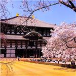 Uçaklı 7 Gece 8 Gün Konaklamalı Büyüleyici Japonya Turu