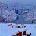 İzmir çıkışlı 2 gece 3 gün Konaklamalı Amasra ve Safranbolu Dahil Batı Karadeniz Kış Rüyası Turu