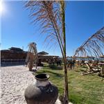 Günübirlik Mavi Beach ve Avalon Alaçatı ile Çeşme Beach ve Eğlence Turu