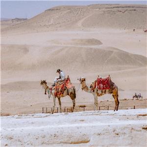 Uçaklı 6 Gün Konaklamalı 7 Gece 8 Gün Abu Simbel Tapınağı Dahil Mısır Turu