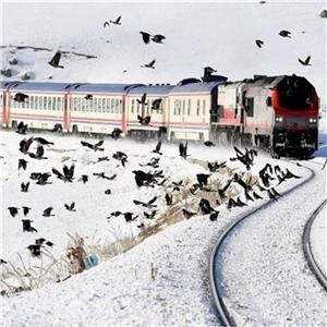 İzmir'den Uçaklı 3 Gece 4 Gün Konaklamalı Doğu Ekspresi ile Erzurum Kars Van Turu