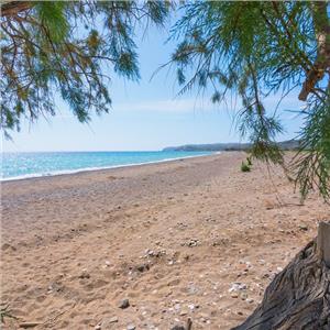 İzmir Feribot Kalkışlı Yılbaşı Özel 2 Gece 3 Gün 4* Chandris Hotel Konaklamalı Sakız Adası Turu Üstelik Otelde Gala Yemeği Dahil