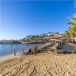 İzmir'den Otobüslü 3 Gece 4 Gün Bodrum Tatili Ayaz Aqua Beach Hotel Konaklama