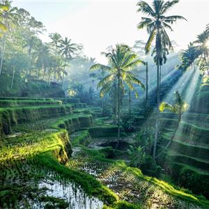 Uçaklı 7 Gece 9 Gün Konaklamalı Kuala Lumpur, Bali Ve Singapur Turu
