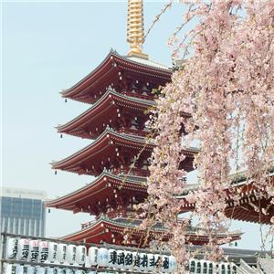 Uçaklı 6 Gece 7 Gün Konaklamalı Direkt Sefer İle Japonya Turu