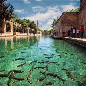 İzmir Uçak İle Hareketli 2 Gece 3 Gün Konaklamalı Butik Diyarbakır Mardin Urfa Gaziantep Turu