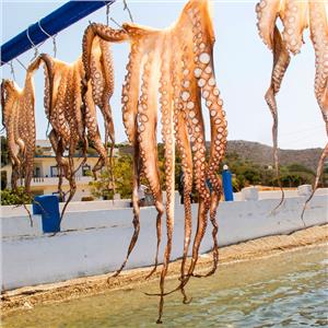 Bodrum'dan Çıkışlı 3 Gece 4 Gün Konaklamalı Leros Adası Turu
