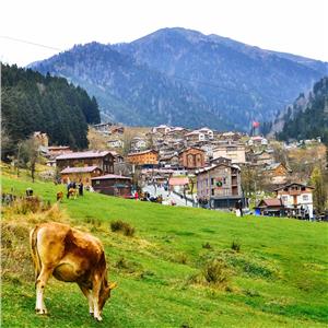 İzmir'den Uçaklı 3 Gece 4 Gün Konaklamalı Karadeniz & Batum Turu