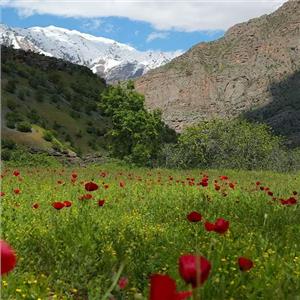 İzmir'den Uçak İle Çıkışlı 6 Gece 7 Gün Konaklamalı Hakkari Şırnak Cizre Turu