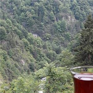 İzmir'den Hareketli 4 Gece 5 Gün Konaklamalı Yayla Yayla Doğu Karadeniz Turu