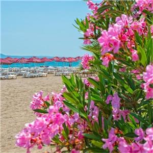 İzmir'den Kalkışlı 3 Gece 4 Gün Konaklamalı Her Şey Dahil 4 Yıldızlı Bodrum Bendis Beach Hotel