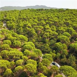 Günübirlik İzmir Çıkışlı Bergama - Aşıklar Şelalesi Turu
