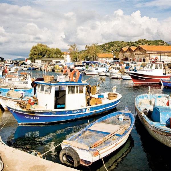 Karaburun, Mordoğan, Çeşme, Alaçatı, Ildırı, Urla (Efes-Mimas Yolu) Turu