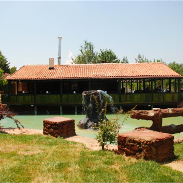 Havuz, Kahvaltı, Safari