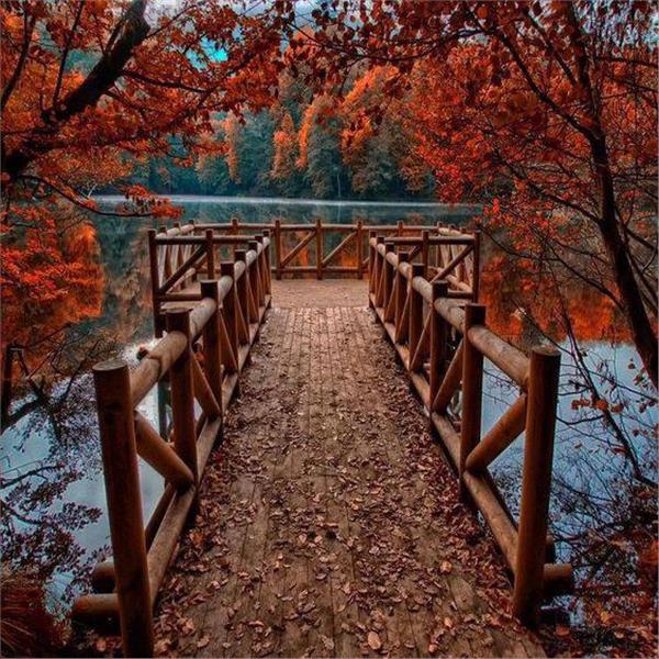 2 Gece 3 Gün Konaklamalı Bolu Abant, Amasra, Göynük, Safranbolu, Yedigöller Turu