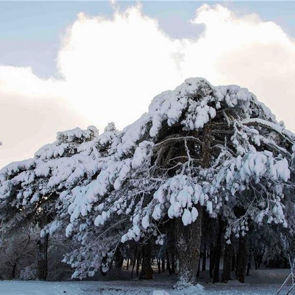 İzmir Çıkışlı Günübirlik Manisa Spil Dağı Turu