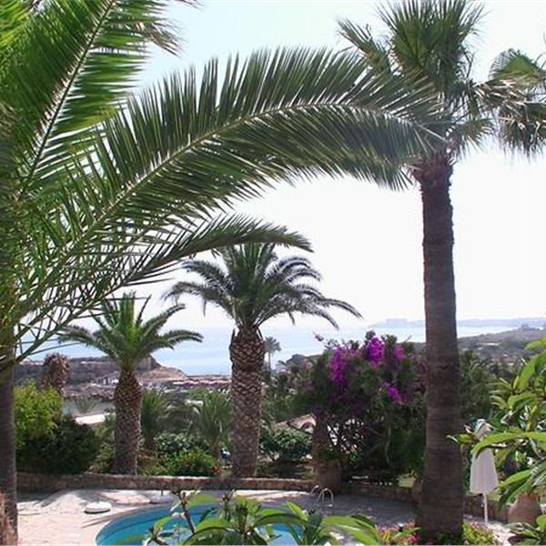 İzmir'den Uçak İle Hareketli Kıbrıs Deniz Kızı Hotel Yarım Pansiyon Konaklama Seçenekleri