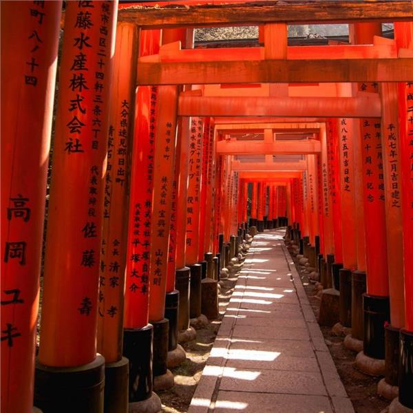 Uçaklı 7 Gece 8 Gün Konaklamalı Büyüleyici Japonya Turu