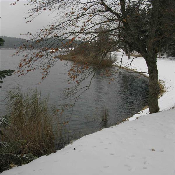 İzmir'den Otobüslü 1 gece 2 gün Konaklamalı Şile, Ağva İle Abant, Gölcük, Gölyazı Turu