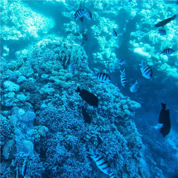 İstanbul'dan Uçak İle Hareketli 6 Gece 7 Gün Konaklamalı Gizemli Mısır Turu