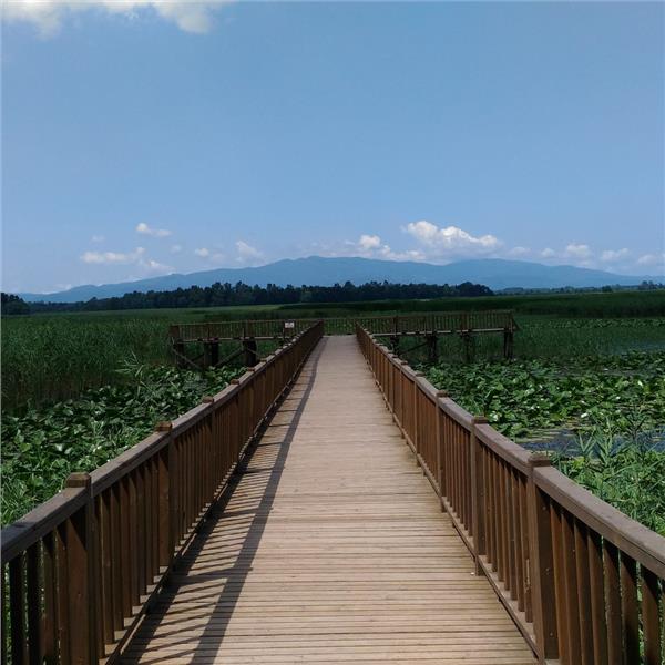 İzmir'den Otobüslü 1 Gece 2 Gün Konaklamalı Düzce Şelaleleri & Efteni Gölü & Akçakoca & Maşukiye Turu