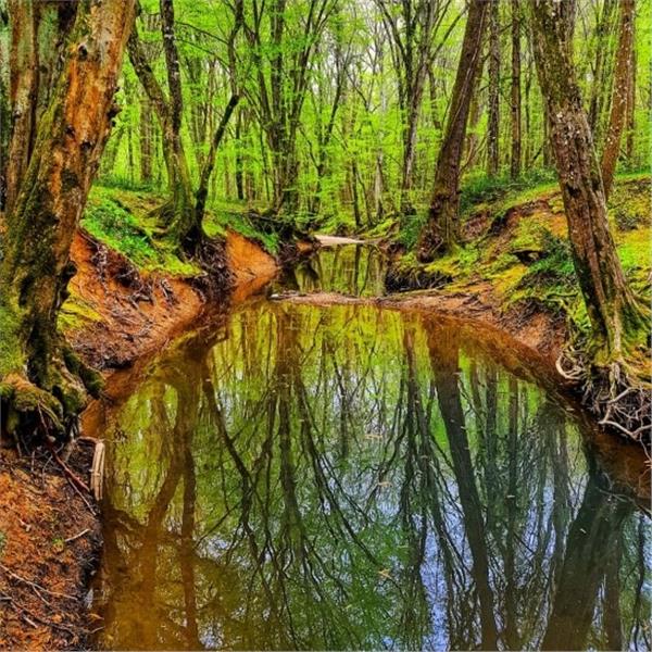 İzmir Çıkışlı 2 gece 3 gün Konaklamalı Trakya Edirne İğneada ile Longoz Ormanları Turu. 