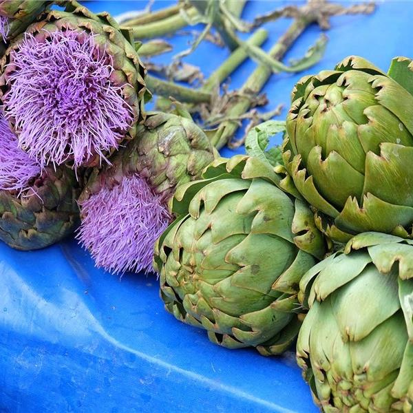 İzmir Çıkışlı Günübirlik Alaçatı Ot Festivali Turu