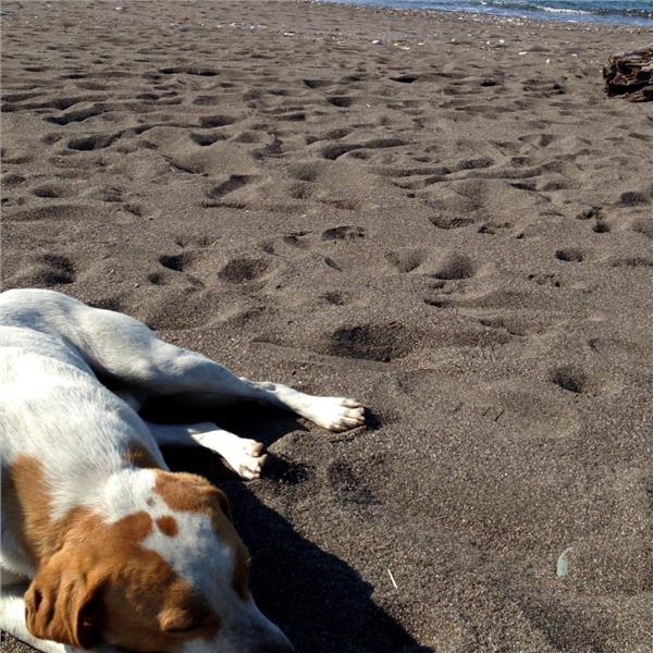 İzmir'den Otobüslü 1 Gece 2 Gün Konaklamalı Düzce Şelaleleri & Efteni Gölü & Akçakoca & Maşukiye Turu